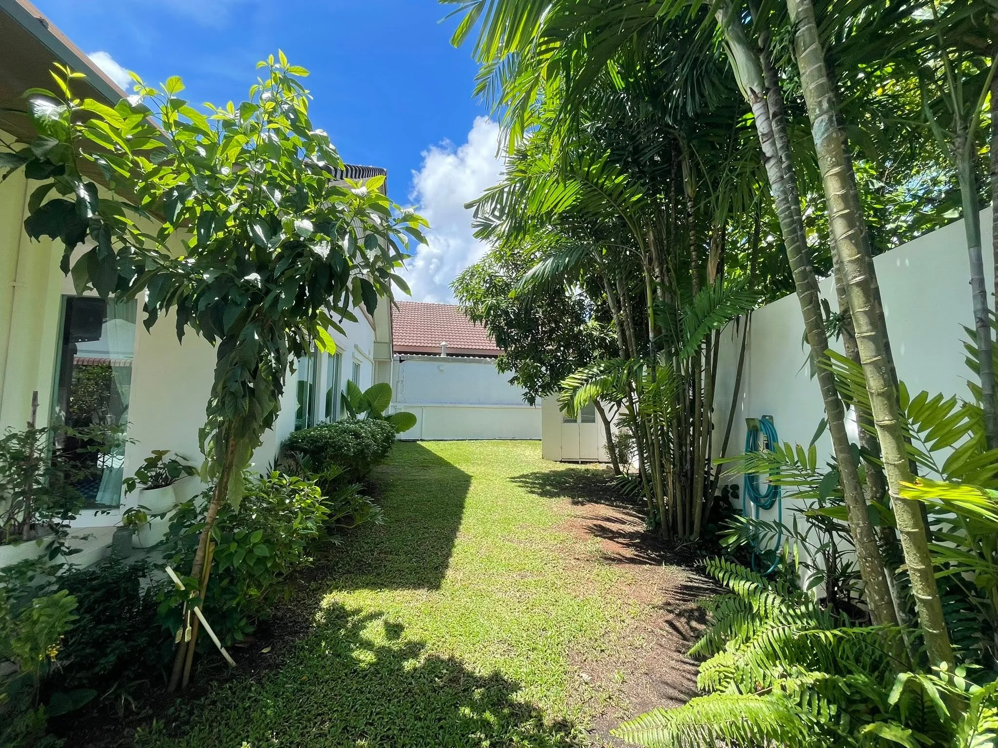 Cortile paesaggistico con vegetazione tropicale in townhouse 2 camere, Thalang